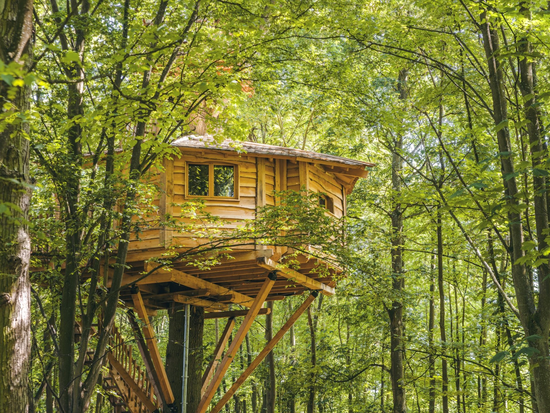  Cabanes  Spa Osmose Cabane dans les arbres  Picardie 