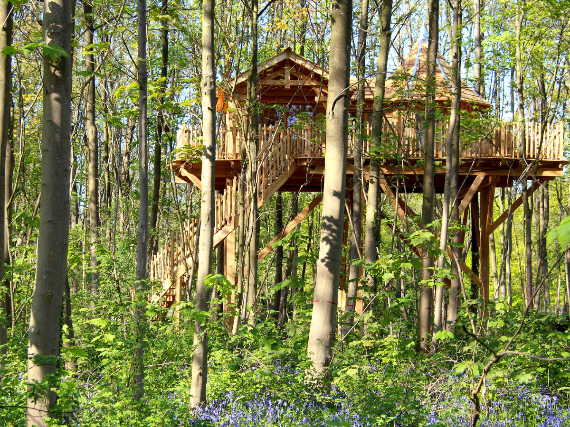 Cabane Spa Bien-être - Cabane Dans Les Arbres Picardie (Hauts-de-France ...