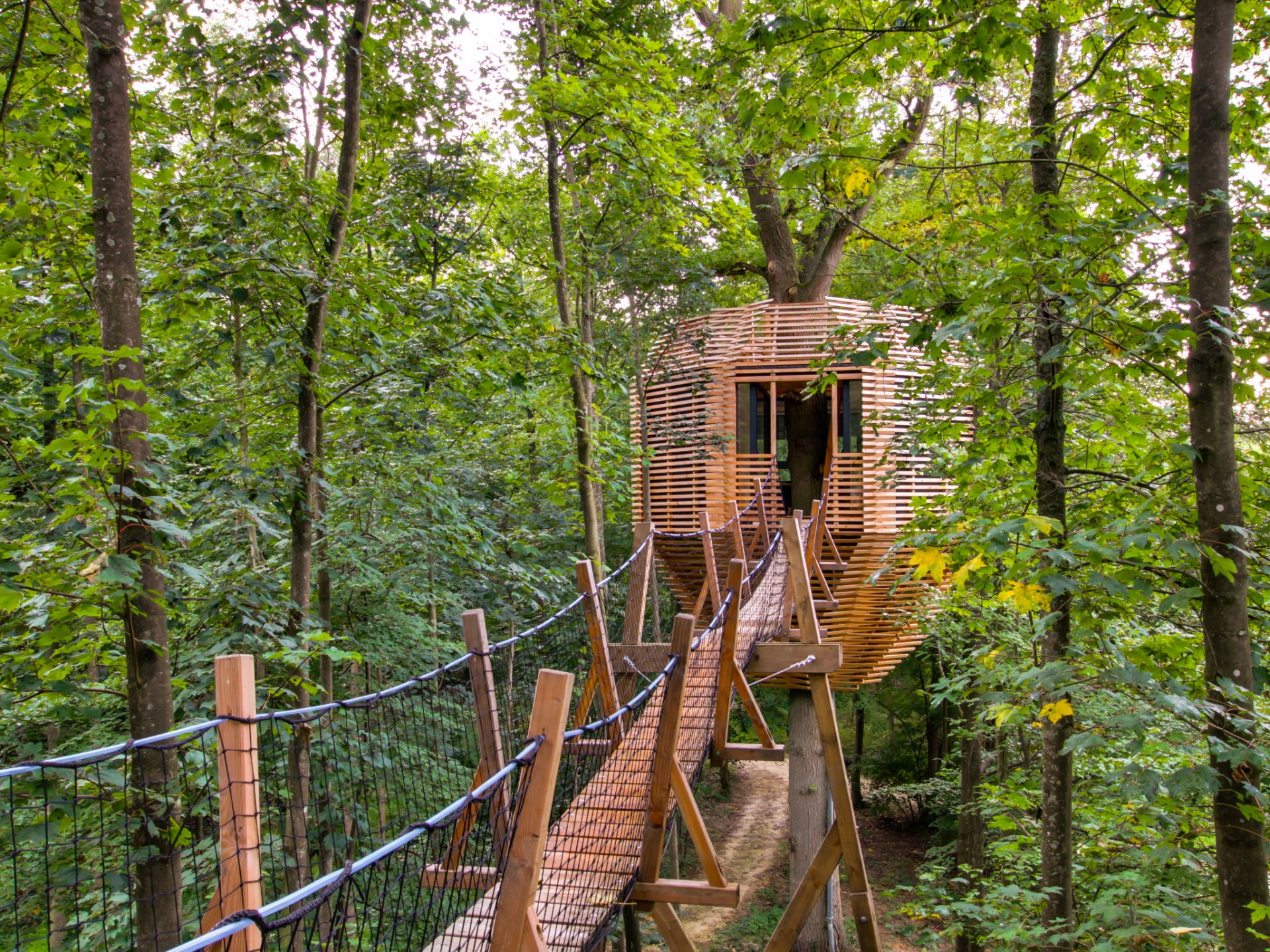 Cabane Spa Origin - Cabane dans les arbres Picardie (Hauts-de-France