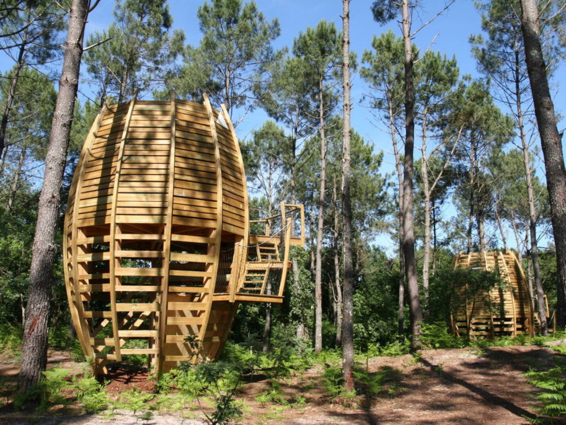  Cabane  Perch e  2 5 pers Cabane  sur pilotis Aquitaine 