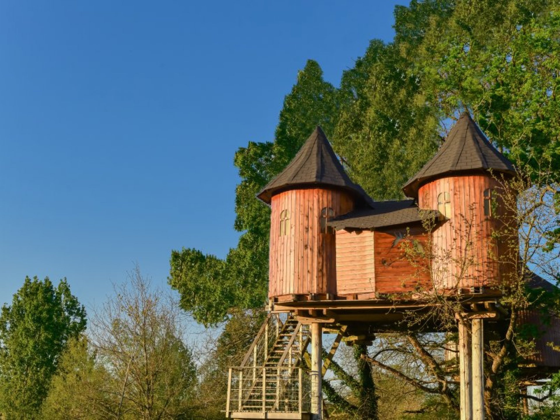 Maison dans les Branches n°2 - 4 personnes - Cabane dans les arbres