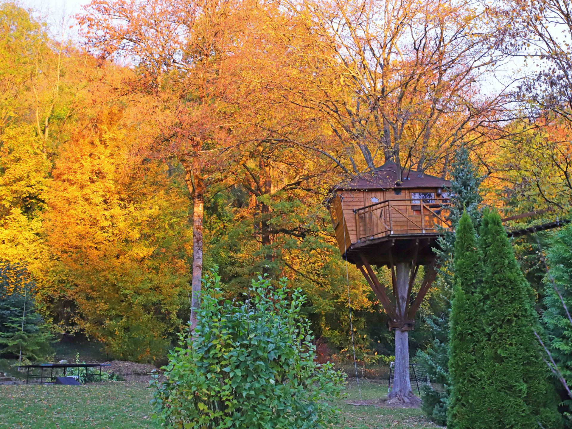 La Cabane du Charme - Cabane dans les arbres Île-de-France ...