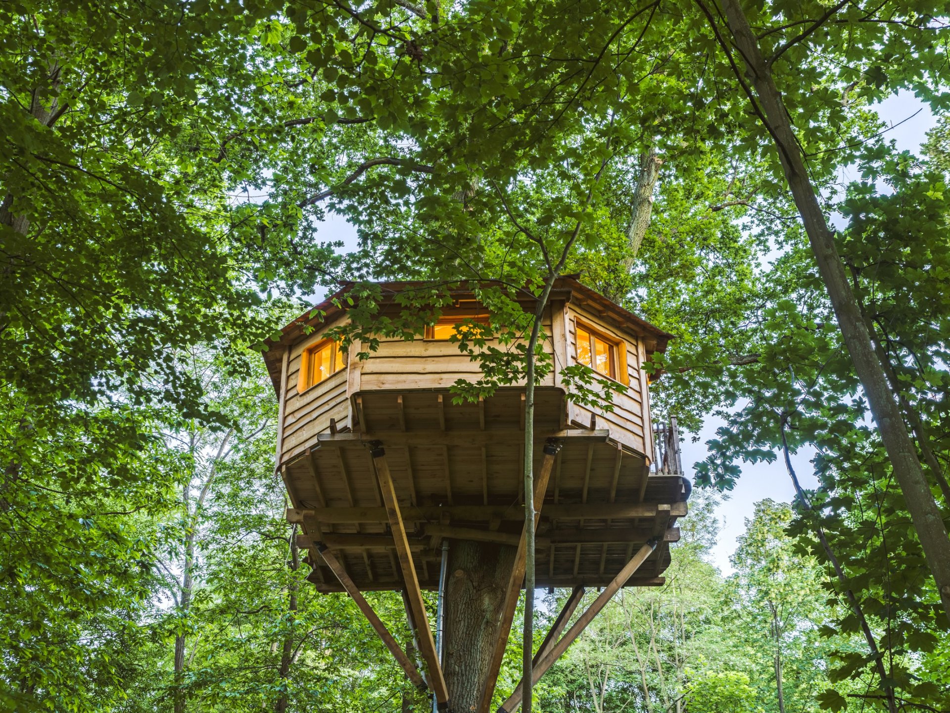 Cabane Secrète - Cabane dans les arbres Picardie (Hauts-de-France