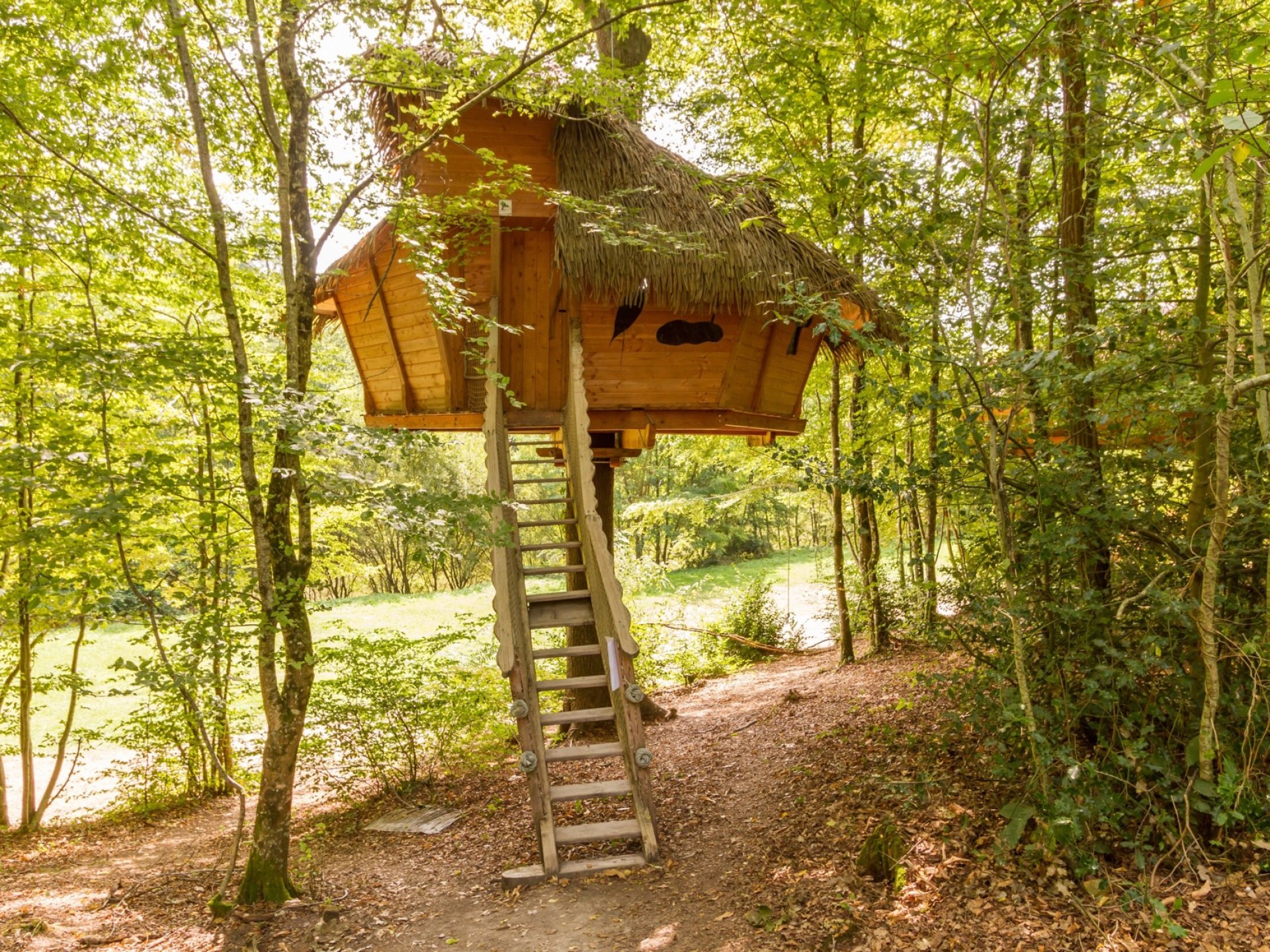 Cabane Familiale - Cabane dans les arbres Centre (Centre-Val de Loire