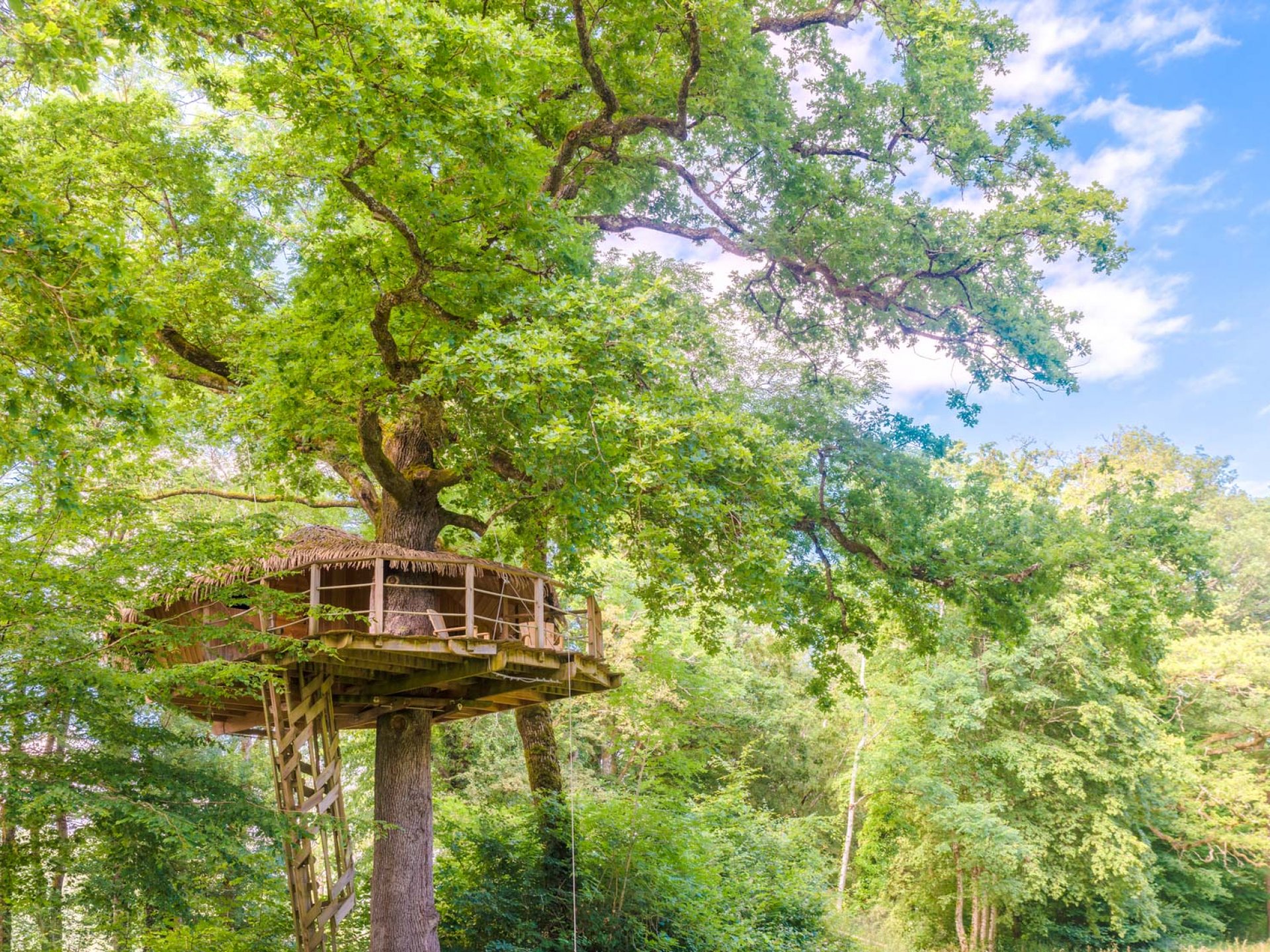 Cabane Spa Murmures - Cabane dans les arbres Franche-Comté (Bourgogne