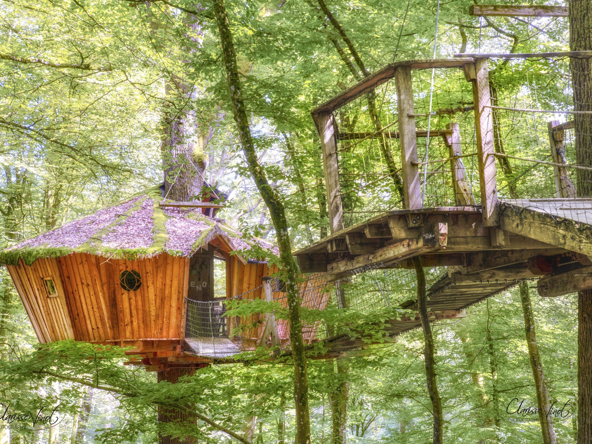 El Sueno Cabane  dans  les  arbres  Champagne Ardenne Grand 