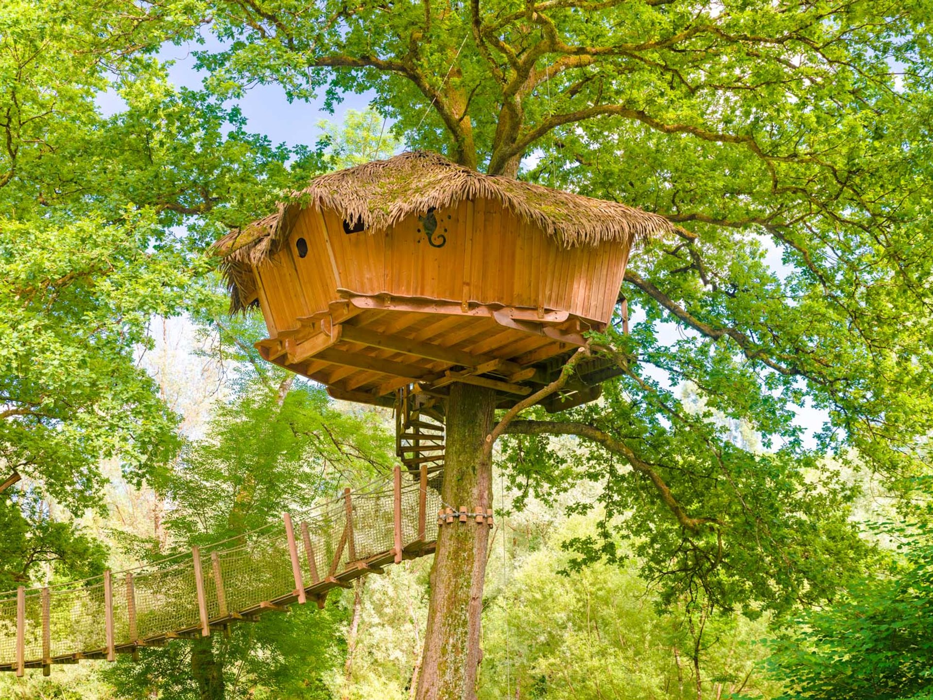 Cabane Spa Refuge - Cabane Dans Les Arbres Franche-Comté (Bourgogne ...